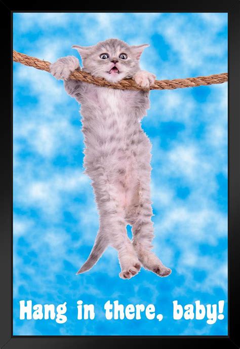 cat poster hang in there|hang in there baby cat.